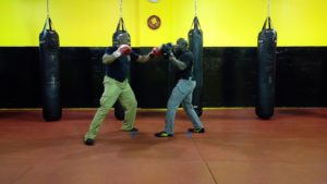 Training with Equipment Pads and Gloves