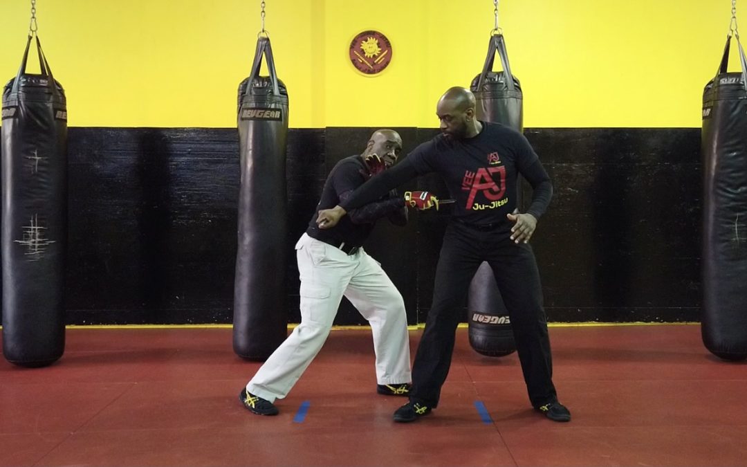 VeeAJ Edged Weapon System