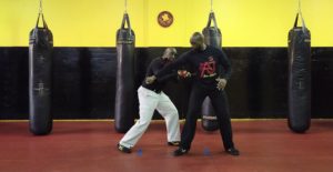 VeeAJ Edged Weapon System