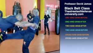 In the Dojo with Professor David James
